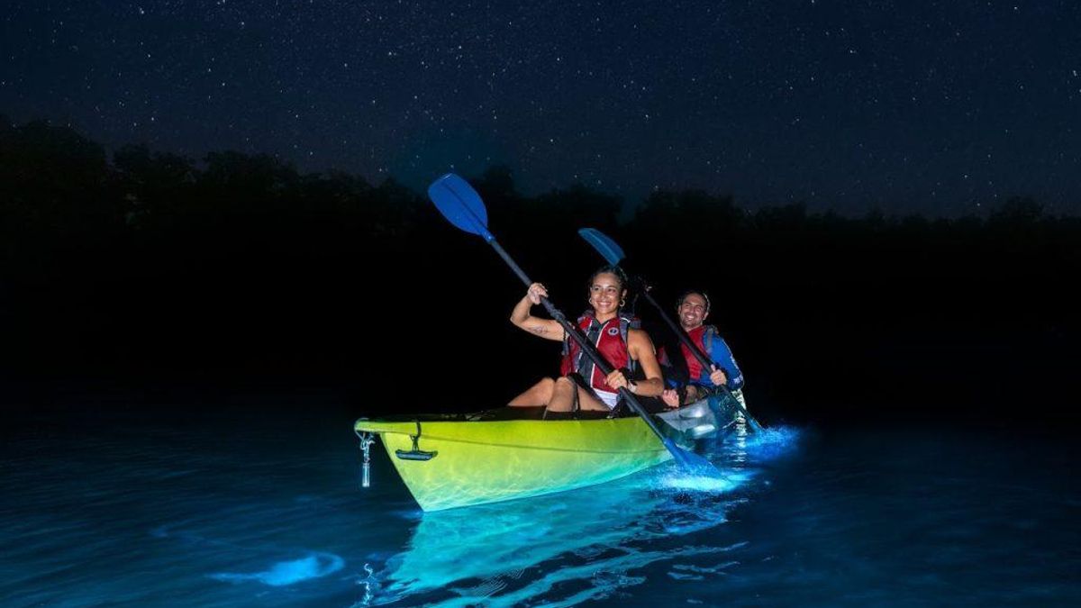 En Mosquito Bay, el agua se ilumina con el movimiento