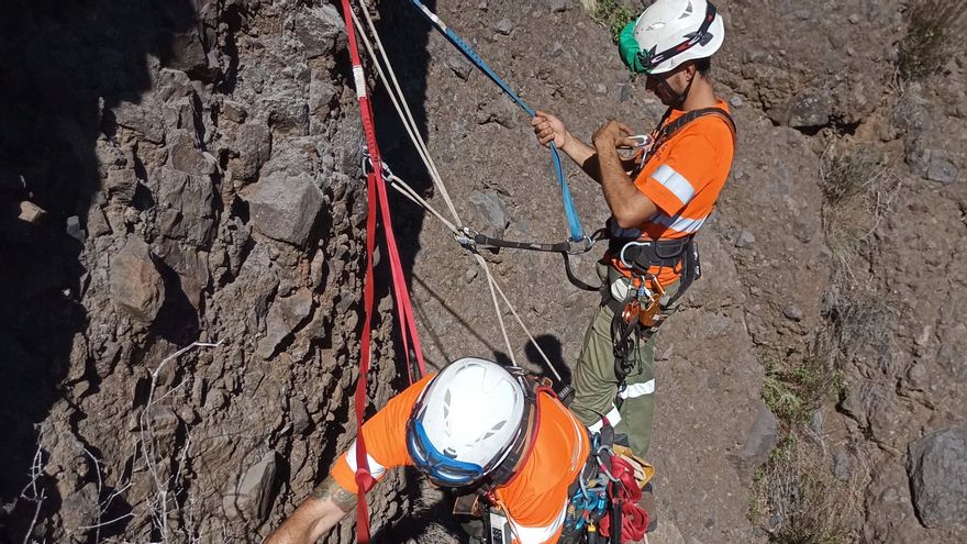 Trabajadores en tareas de eliminación de especies exóticas en La Caldera.