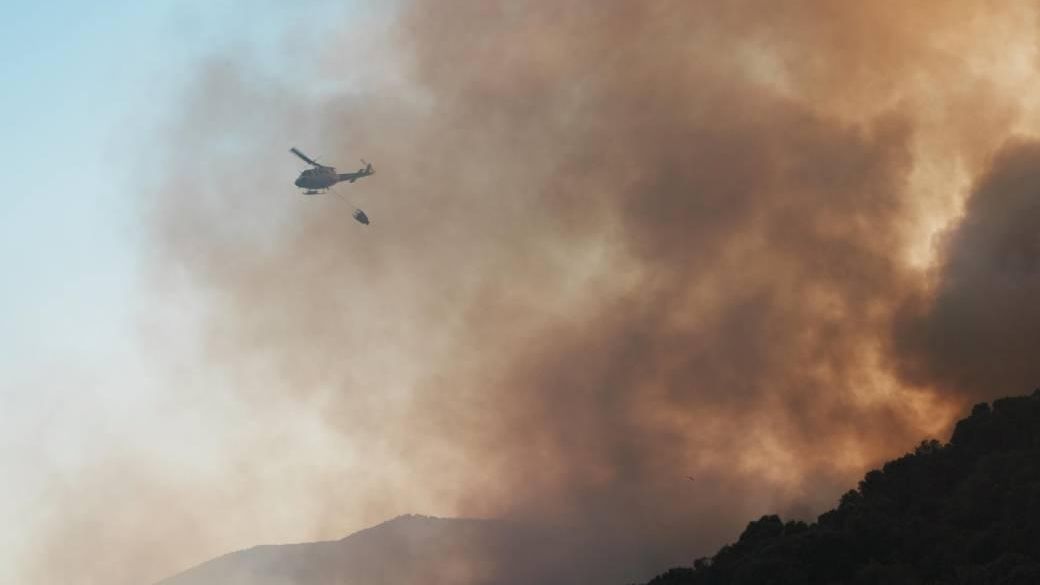 Uno de cada cuatro incendios forestales en Córdoba es intencionado