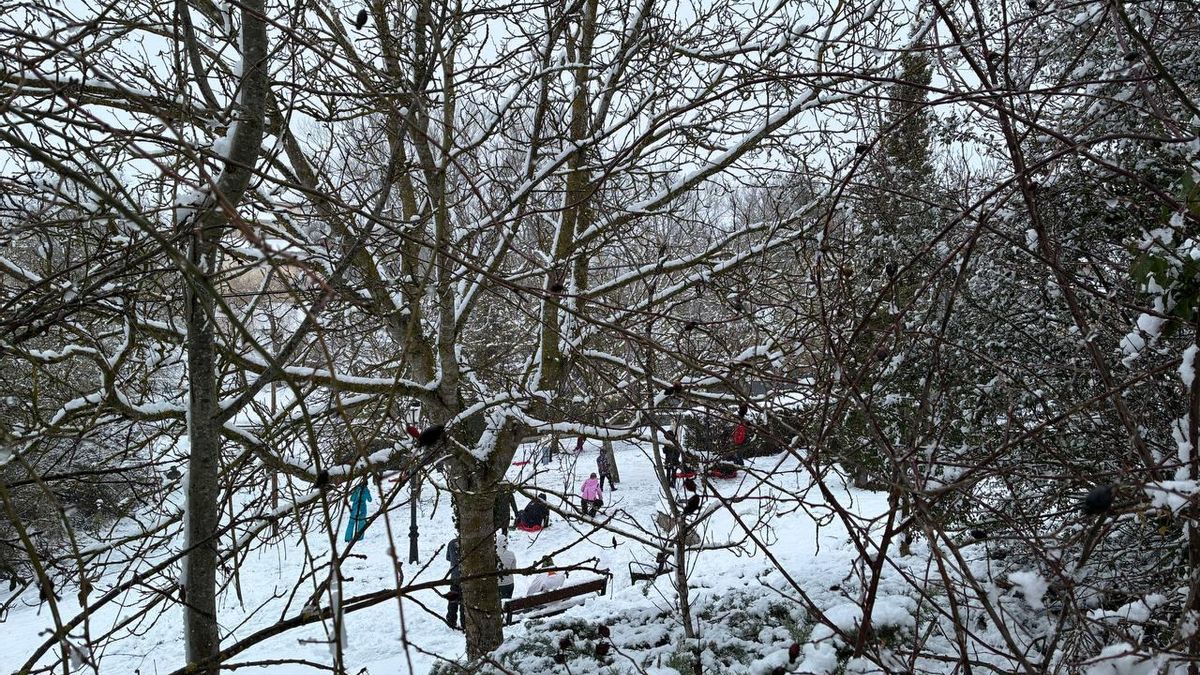 Zona de Armentia, bajo la nieve, en Vitoria