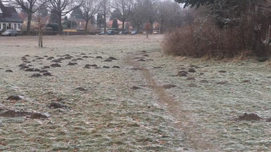 Montones de tierra de los topos