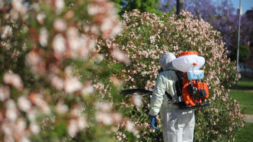 El virus del Nilo sigue al alza en Andalucía: tres nuevos casos en la provincia de Sevilla elevan a 34 los afectados