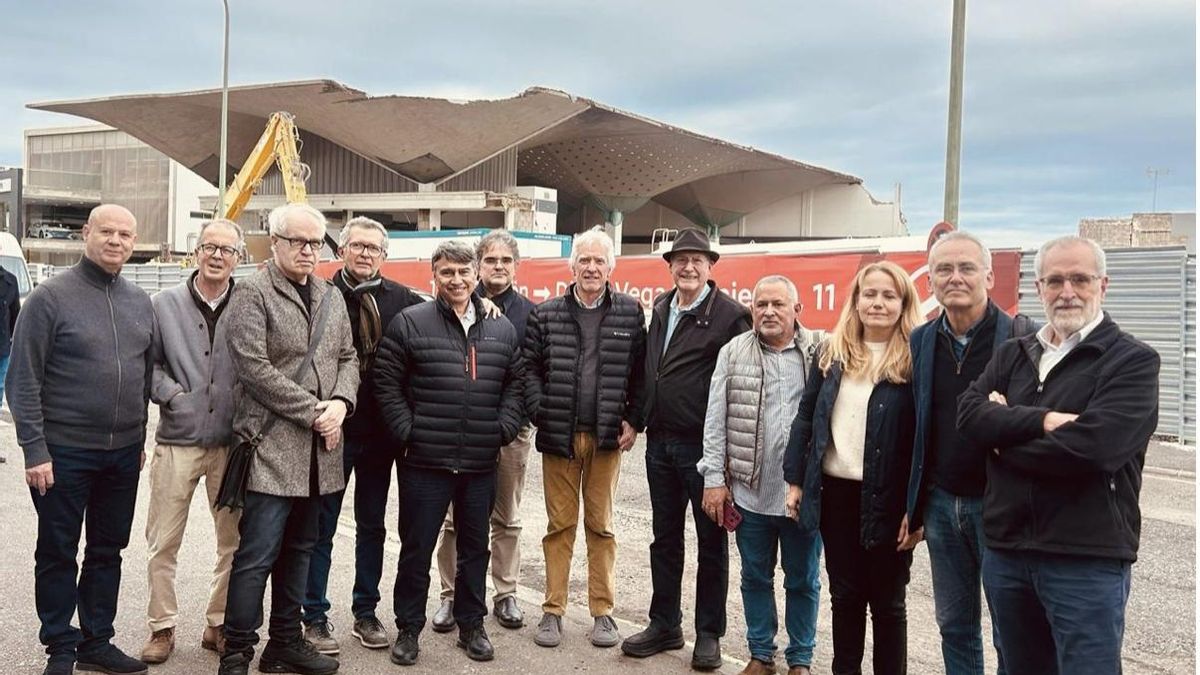 Un grupo de arquitectos, con su decano(con sombrero) al frente, este viernes ante las obras de demolición del edificio de Domingo Alonso Group.