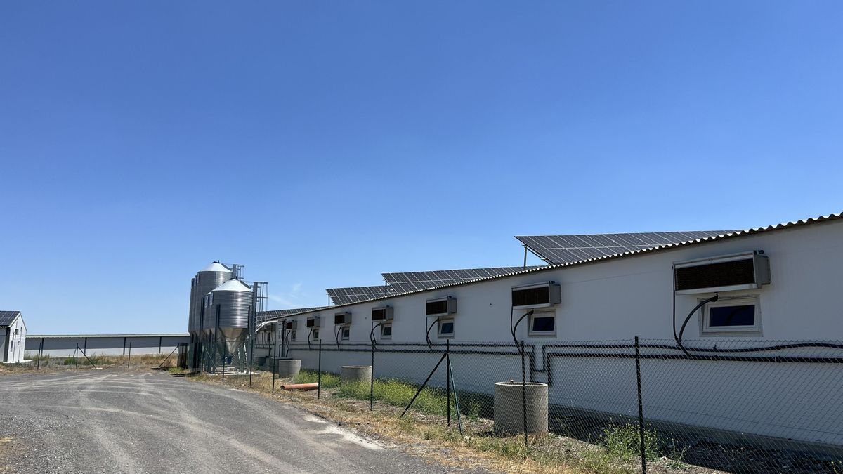 Defienden la legalidad, sostenibilidad y compromiso ambiental de las granjas de Torrecampo y Alcaracejos