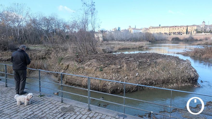 Cómo se ha formado una isla de toallitas y sedimentos en el río Guadalquivir