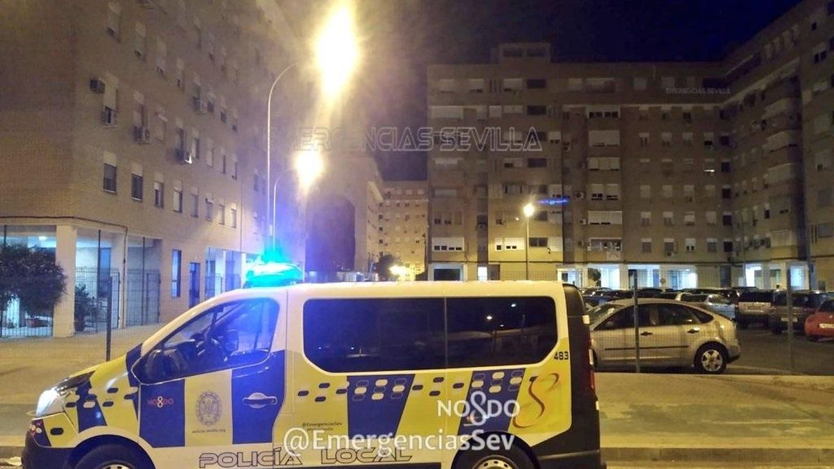 Policía Local de Sevilla en una actuación nocturna