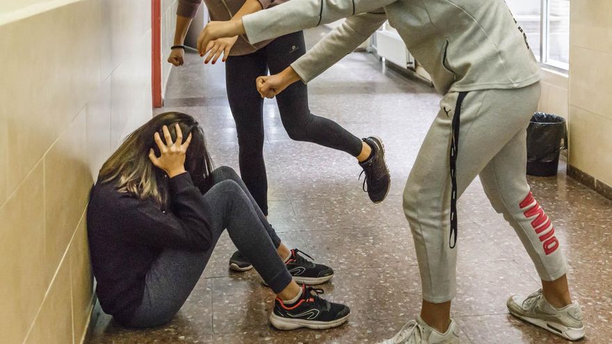 Uno de cada cuatro niños de Extremadura reconoce haber sufrido acoso en el colegio