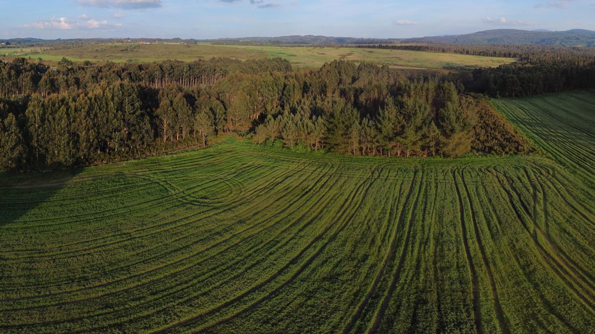 Más de 300 arquitectos, urbanistas o biólogos se reúnen este sábado para protestar contra el proyecto de Altri