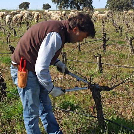 La bodega apuesta por la biodiversidad