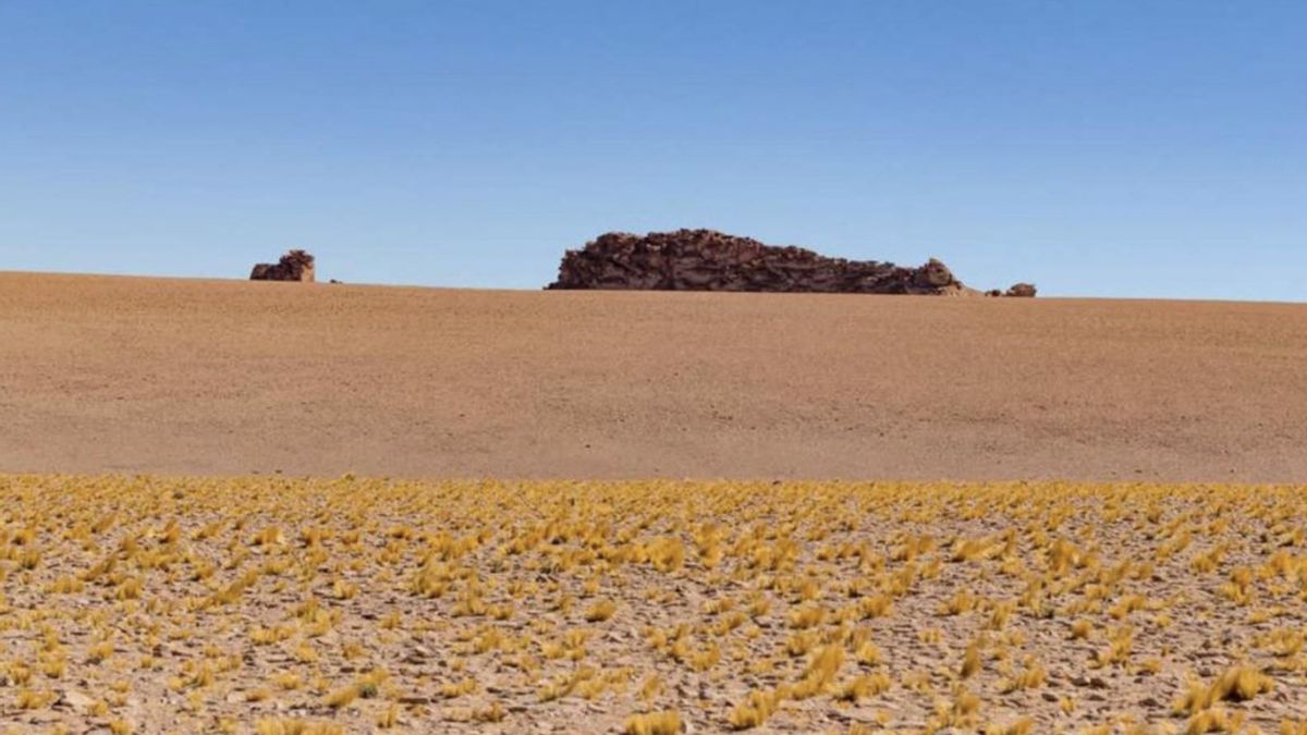 Foto: Leo Seura - Asamblea Pucará