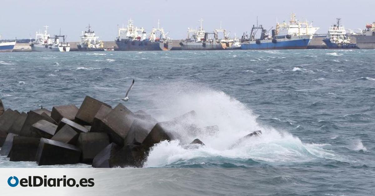 Las Palmas de Gran Canaria estudiará el uso de la energía de las olas para la desalación