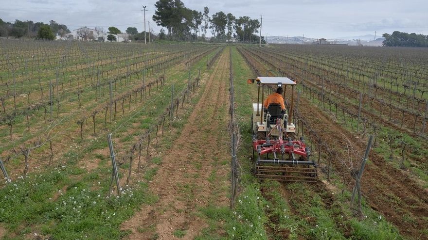 La nueva PAC tiene un fuerte componente medioambiental y contempla la perspectiva de género