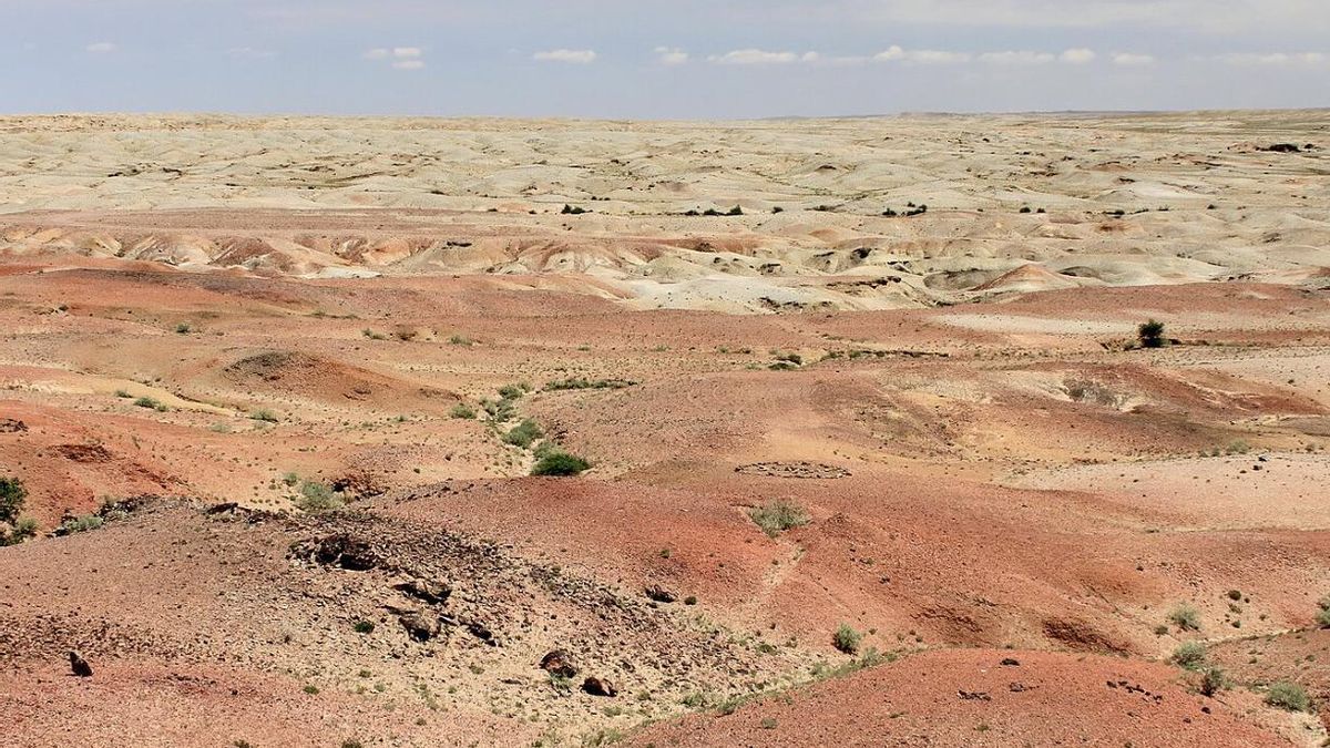 Las cifras del programa muestran una plantación a una escala pocas veces vista