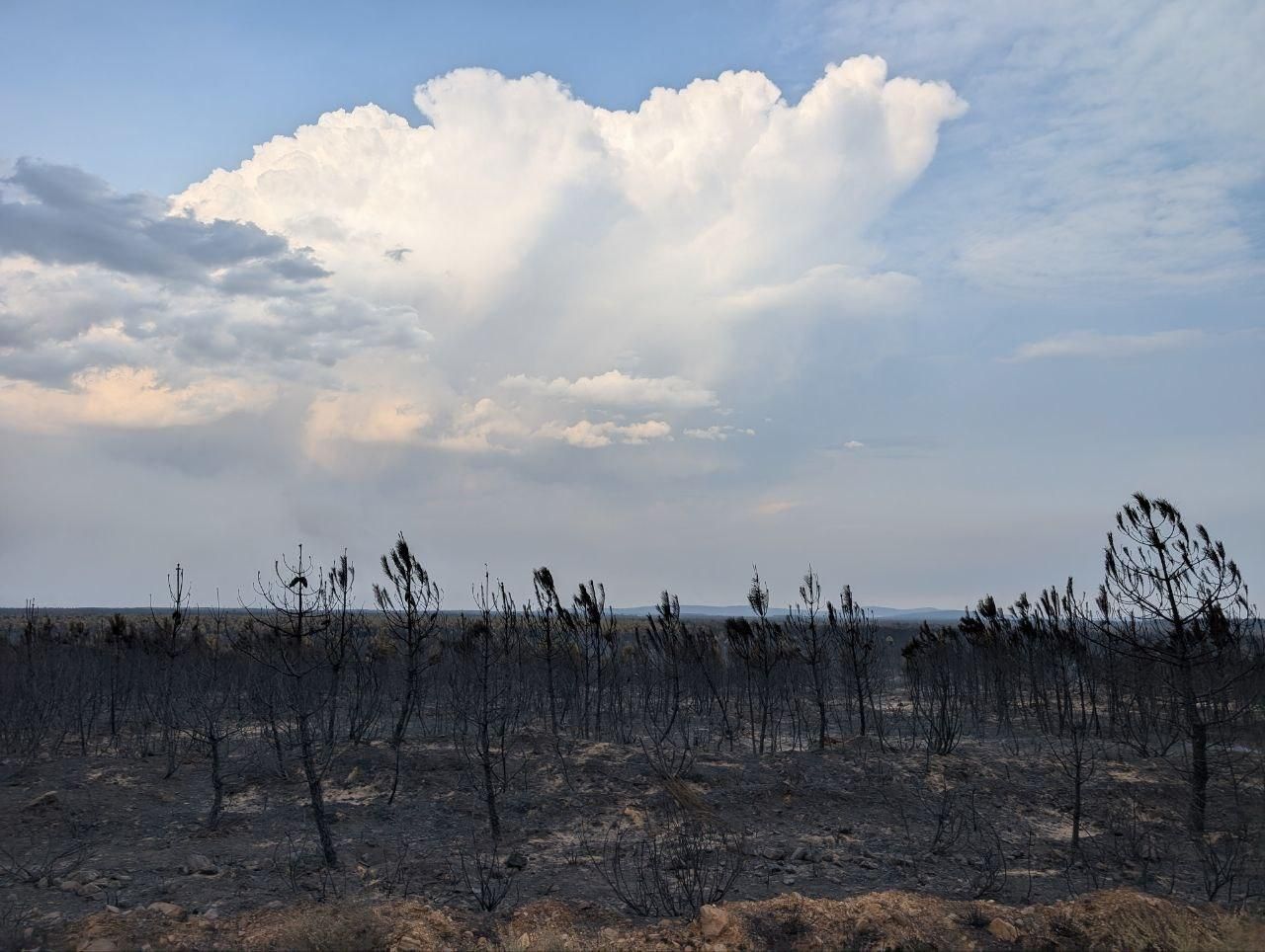Castrocalbón. / Antonio Vega ILEÓN