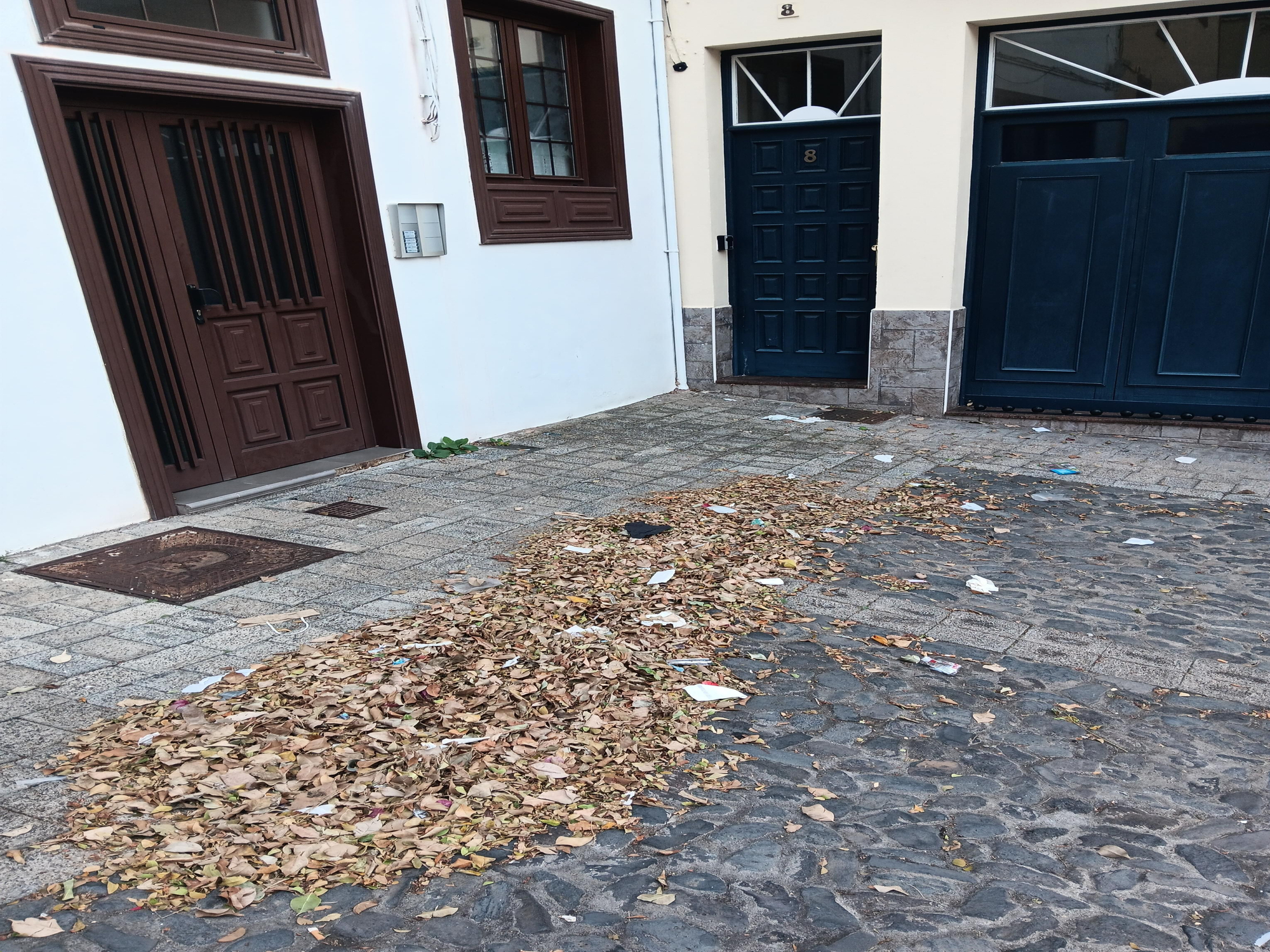 Basuras en la calle El Lomo.