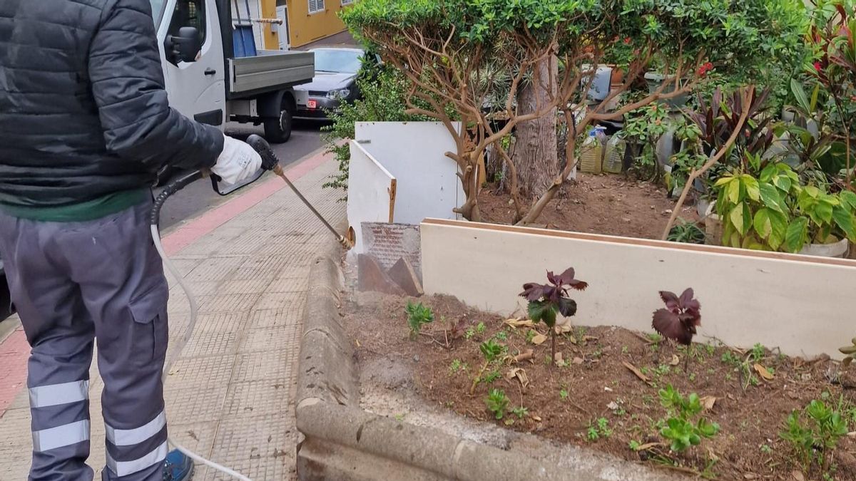 Imagen de archivo de una desinsectación en Las Palmas de Gran Canaria.