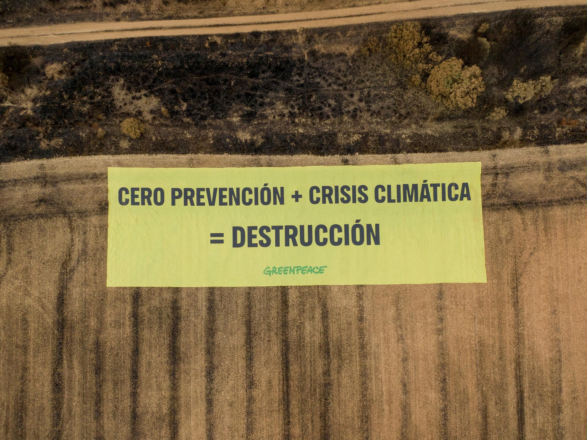 La devastación de los incendios del sur de León que impulsa la campaña internacional de Greenpeace