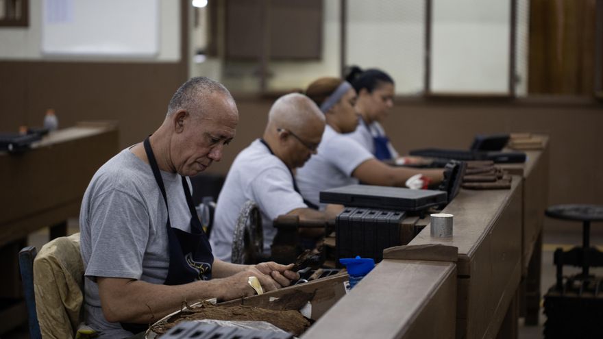 El tabaco dominicano vive su mejor momento con cifras récord de exportaciones