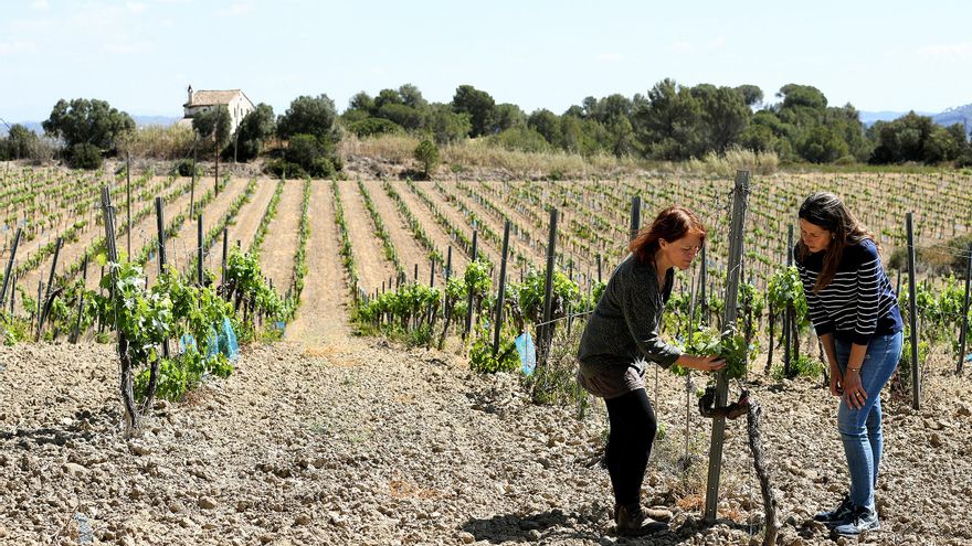 Un macroproyecto de un supermercado ‘sostenible’ enoja a payeses y ecologistas: “Es un greenwashing descarado”