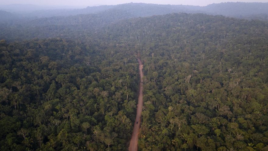 Brasil afila la precisión de la vigilancia satelital para combatir la tala en la Amazonía