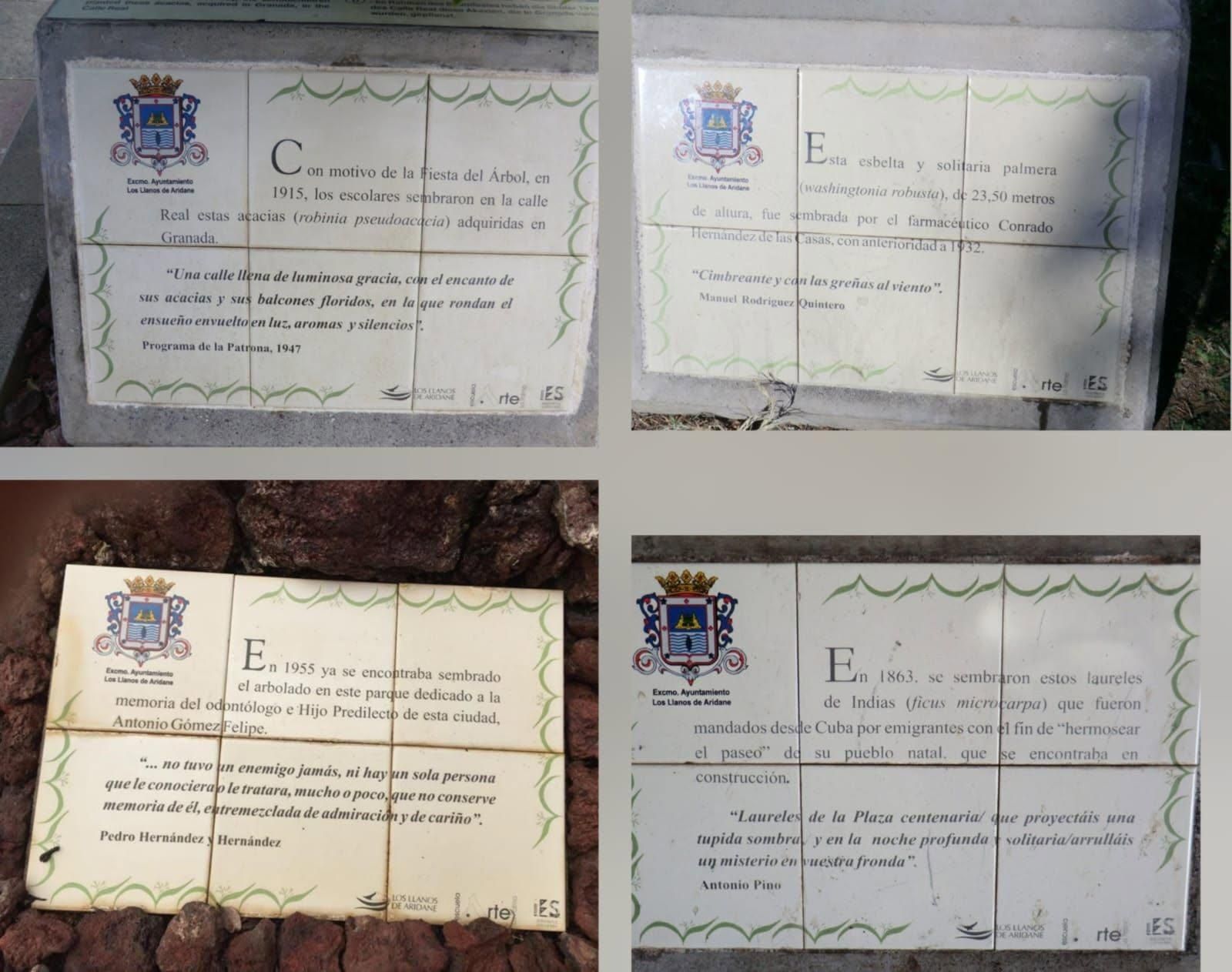 Memoria del arbolado de Aridane. MVH