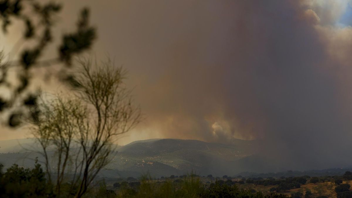 Columna de humo producida por el incendio que se mantiene activo en la localidad madrileña de Pelayos de la Presa, este viernes