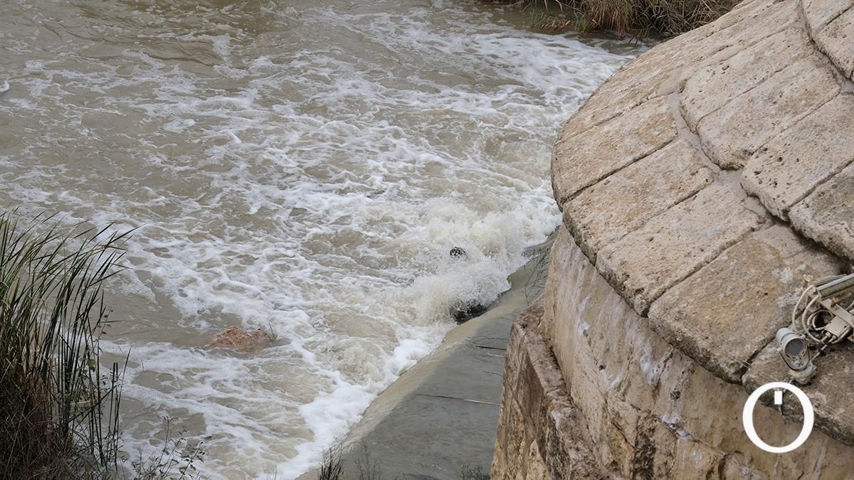 Así va el río Guadalquivir a su paso por Córdoba después de las últimas lluvias
