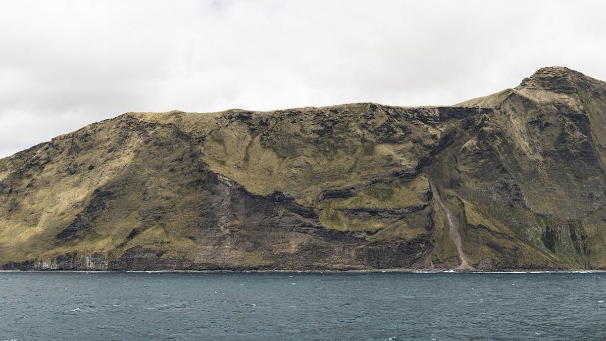 Unas vacas olvidadas en una isla sobrevivieron solas durante 130 años y su extraordinaria adaptación fascina a los científicos