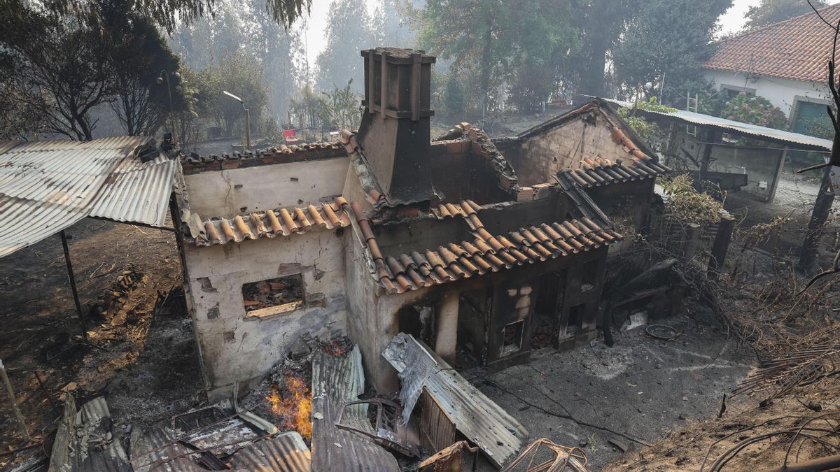 Los incendios de Portugal dejan ya 7 muertos y España envía 230 ...