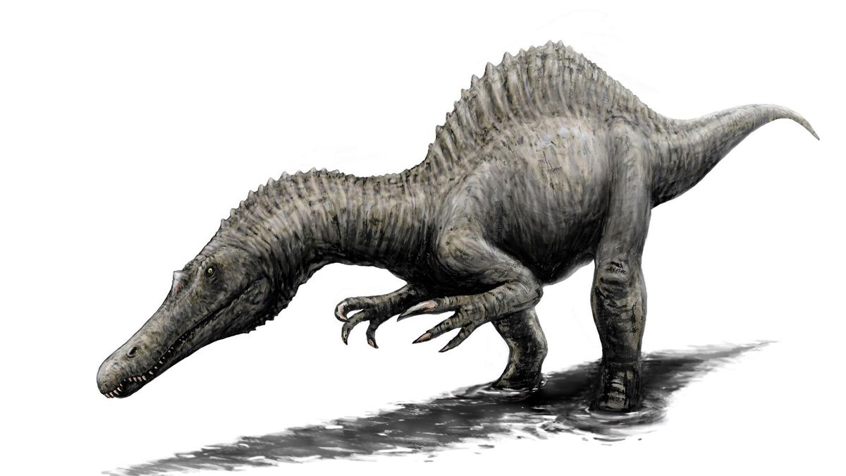 Lo que la ciencia acaba de descubrir sobre Camarillasaurus, el dinosaurio hallado en Teruel