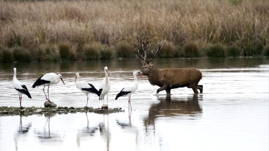 La semana en Euskadi, en imágenes