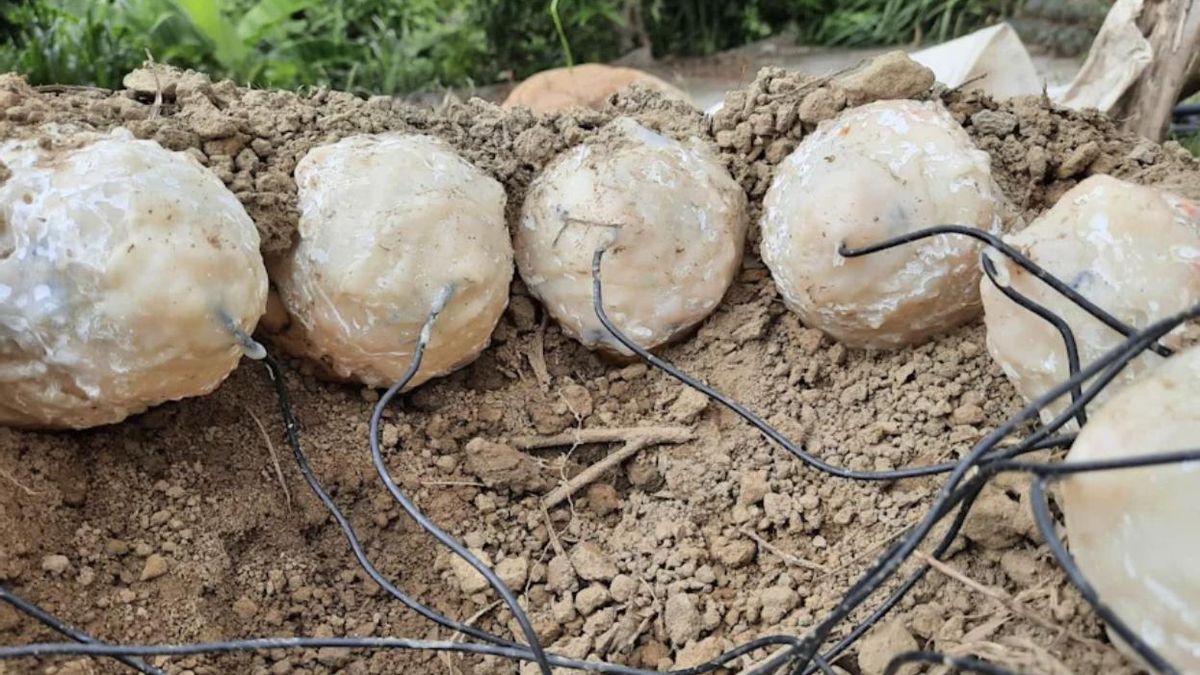 Los huevos de dinosaurio parecían bien protegidos, pero su sistema de incubación fallaba frente al de las aves actuales