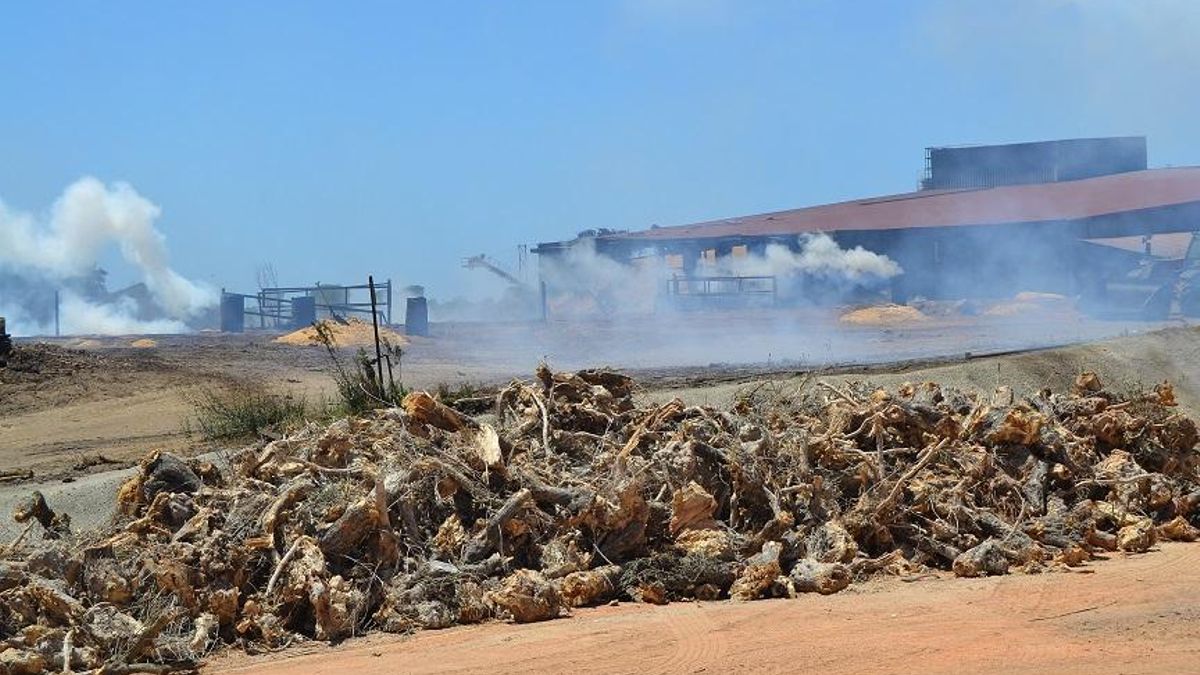 Imagen de las instalaciones de la carbonera días después del incendio forestal