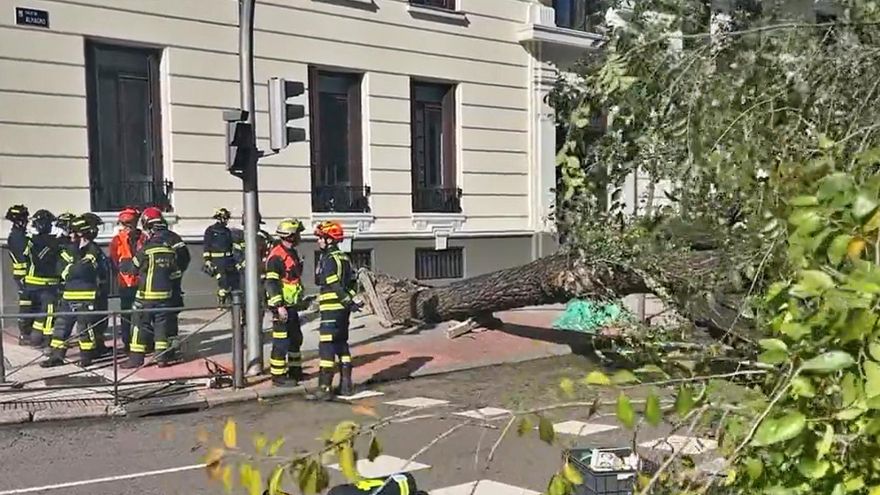 Muere una joven de 23 años en la zona de Alonso Martínez de Madrid por la caída de un árbol a causa del viento