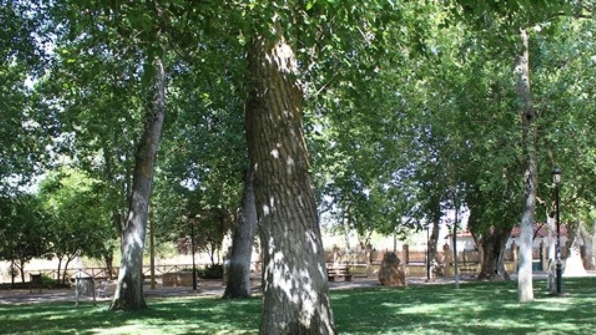 Zona El Peral de Valdepeñas
