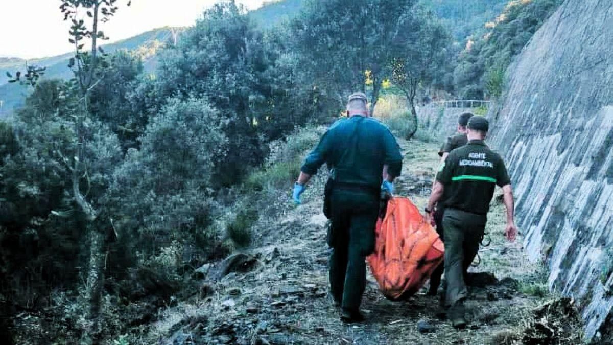 Encuentran un oso muerto en un canal de una central hidroeléctrica en Matarrosa del Sil