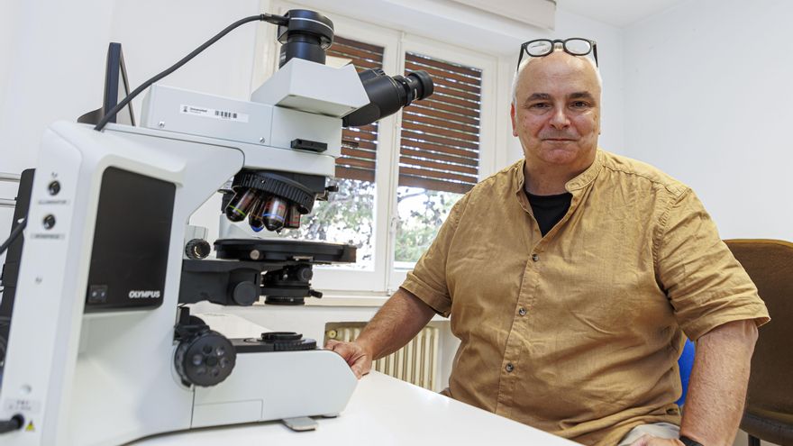 La ficción de la desextinción: un parque jurásico imposible y especies actuales "tuneadas"