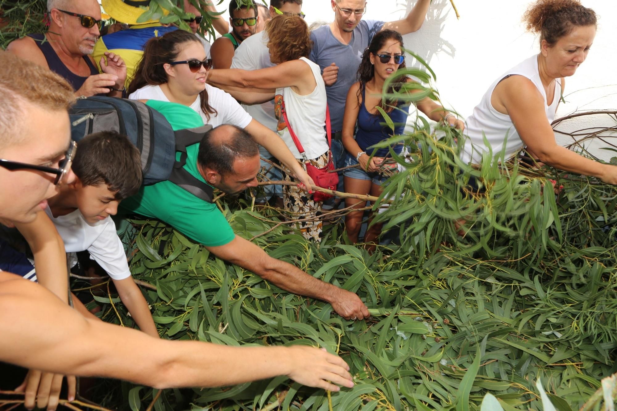 Fiesta de La Rama 2016 en Agaete (ALEJANDRO RAMOS)