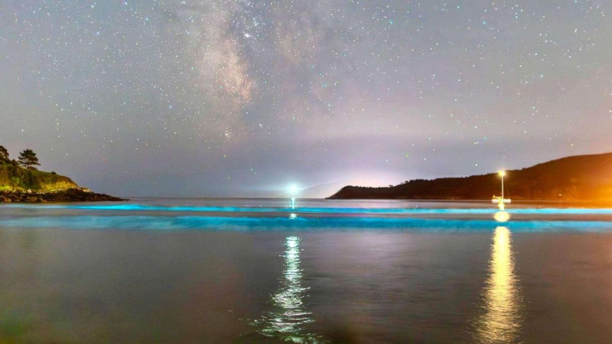 Disfrutar del Mar de Ardora: cinco playas para ver este fenómeno en España