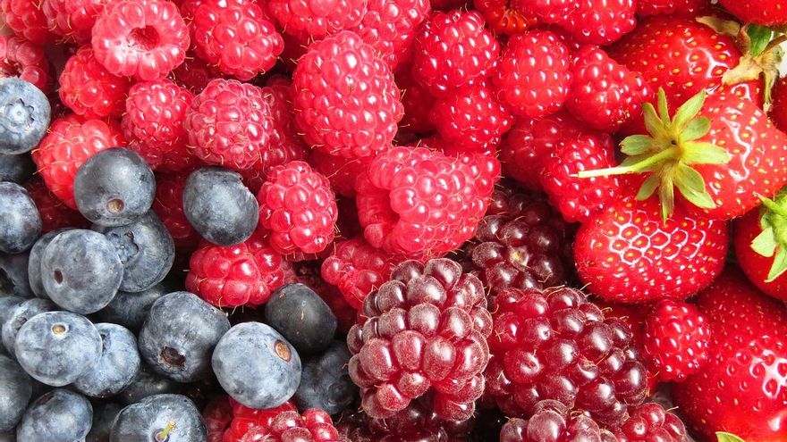 Más allá de las pasas y el pescado: alimentos que puedes tomar para estimular la memoria