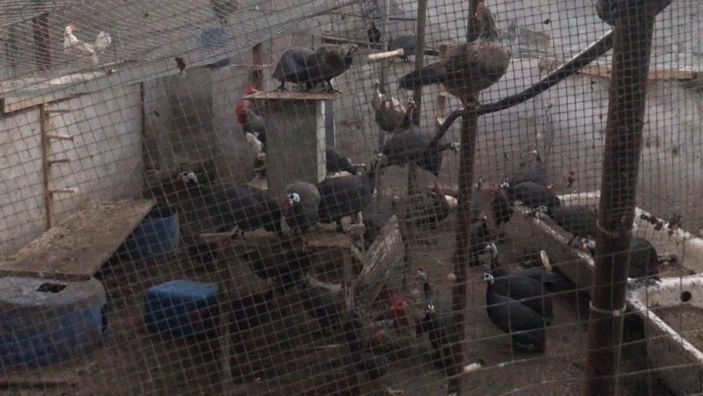 Interior del recinto