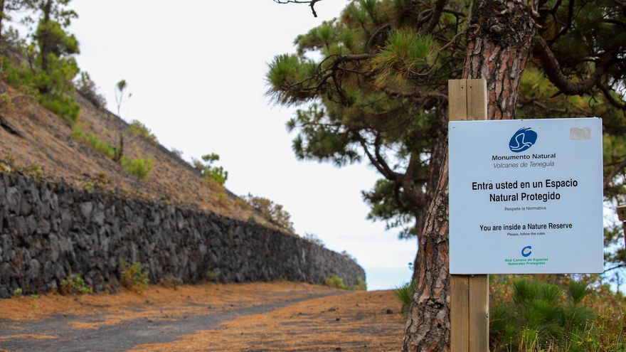 El proyecto de pavimentación de la pista para la ruta turística en autobús al Monumento Natural de los Volcanes de Teneguía ha sido denunciado ante la Agencia Canaria de Protección del Medio Natural (ACPMN) por la plataforma EcoLaPalma, respaldada por diferentes asociaciones ecologistas de las islas. EFE/ Luis G. Morera
