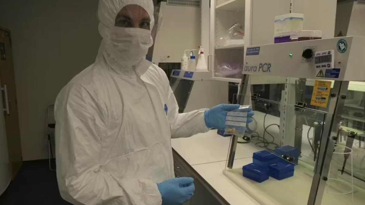 Dos individuos muestran conexiones con regiones del Sahel africano