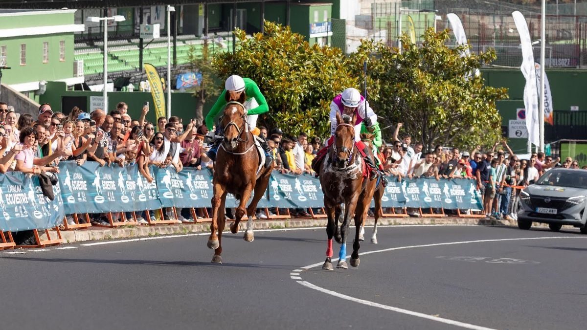 La Palma Ecuestre publica su calendario de carreras 2026 y abre inscripciones