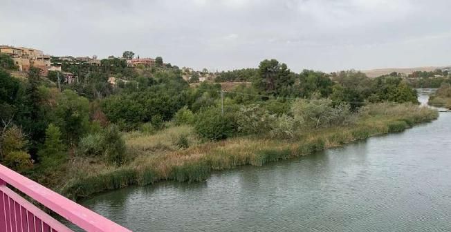 Imagen de la vegetación de la zona norte del PERIM desde el puente de La Cava de Toledo