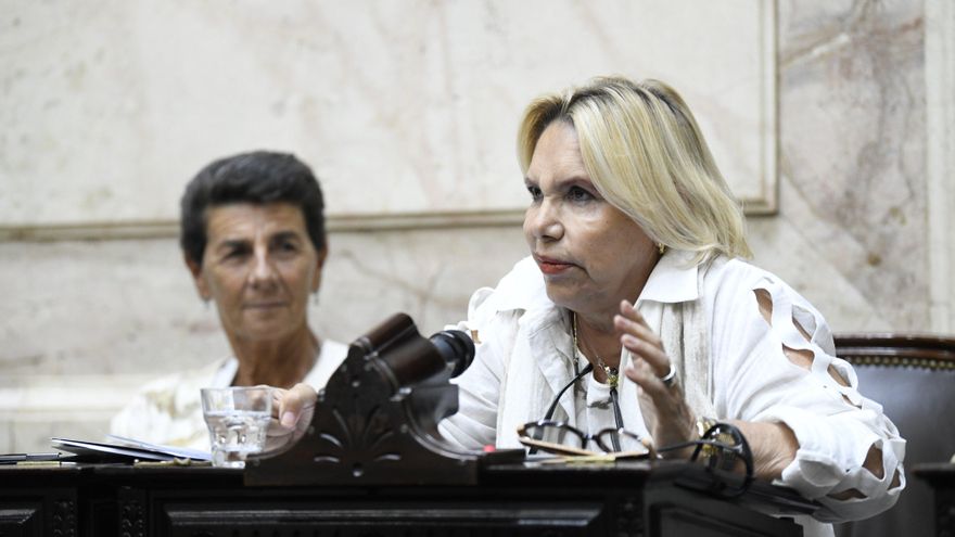 La diputada del PRO Marilú Quiroz tuvo su evento antivacunas en Diputados y exministros de Salud le salieron al cruce