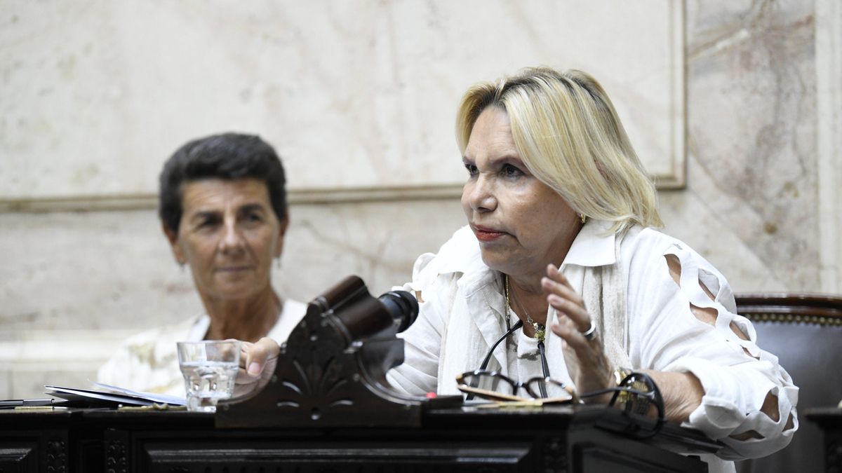 La diputada del PRO Marilú Quiroz tuvo su evento antivacunas en Diputados y exministros de Salud le salieron al cruce