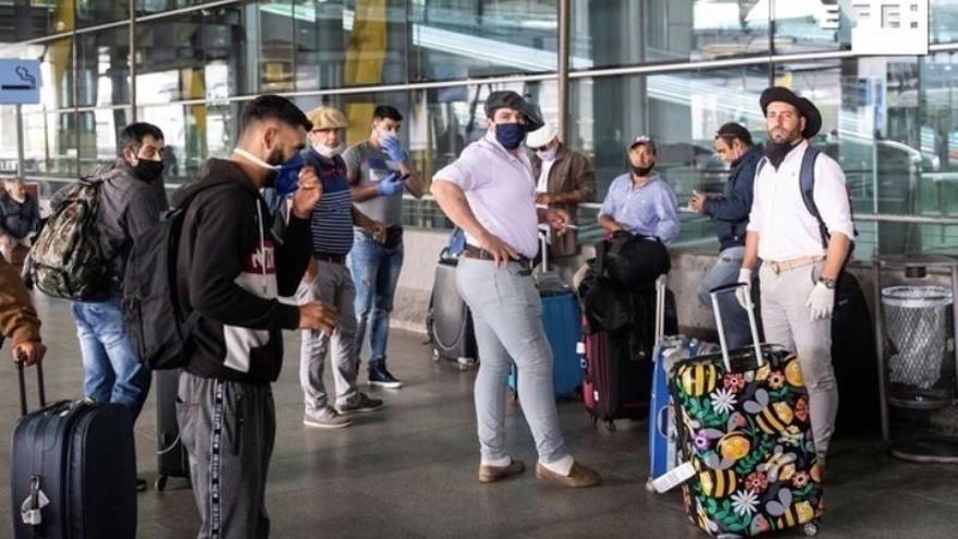 Llegan 250 esquiladores uruguayos a España con retraso por las medidas de la COVID-19