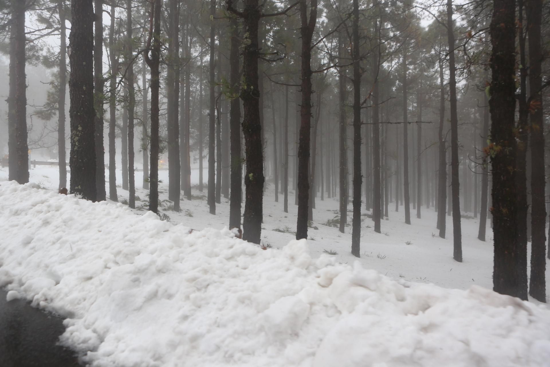 Jornada del sábado, 20 de febrero en la cumbre (Alejandro Ramos).