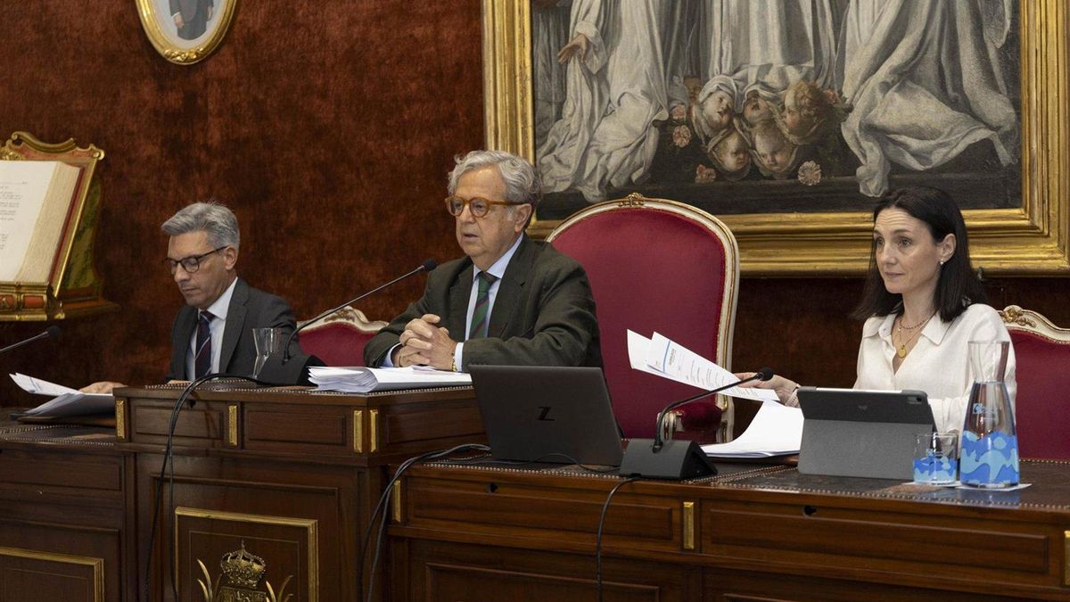 El Pleno de Diputación aprueba por unanimidad destinar 300.000 euros al Plan contra el Virus del Nilo